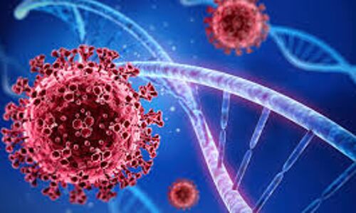 മലപ്പുറം ജില്ലയില്‍ 1,610 പേര്‍ക്ക് കൊവിഡ്; 1045 പേര്‍ക്ക് രോഗമുക്തി