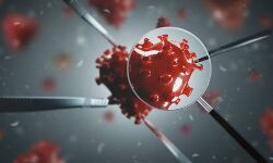 പേരാമ്പ്രയിലും രണ്ടുപേർക്ക് ഡെൽറ്റ വകഭേദ വൈറസ് സ്ഥിരീകരിച്ചു