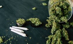 കഞ്ചാവ്; വനിതാ ഡോക്ടറും യുവാവും അറസ്റ്റില്‍