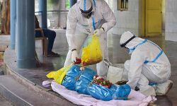 കൊവിഡ്; 800 ഡോക്ടര്‍മാര്‍ മരണപ്പെട്ടെന്ന് ഐഎംഎ