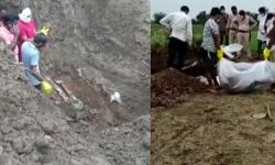 കാണാതായ കുടുംബത്തിലെ അഞ്ചുപേരെ കൊന്ന് കുഴിച്ചുമൂടിയ നിലയില്‍ കണ്ടെത്തി