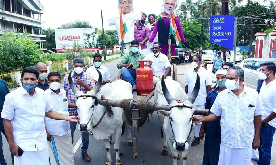 ഇന്ധന വിലവര്‍ധനവ്; ഷാഫി പറമ്പില്‍ എംഎല്‍എയുടെ നേതൃത്വത്തില്‍ കാളവണ്ടി പ്രതിഷേധം