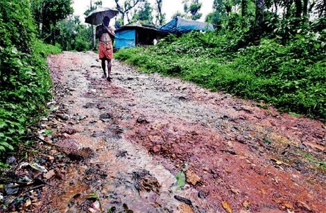 പനവല്ലി സര്‍വ്വാണി ടൂറിസം പദ്ധതി വിദഗ്ധ സമിതി പരിശോധിക്കും