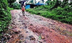 പനവല്ലി സര്‍വ്വാണി ടൂറിസം പദ്ധതി വിദഗ്ധ സമിതി പരിശോധിക്കും