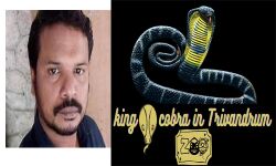 เดตเดฟเดทเดชเตเดชเดพเดฎเตเดชเตเดเดณเต เดชเดฐเดฟเดเดฐเดฟเดเตเดเดพเดจเตโ เดเดฐเตเดธเดฎเดฏเด เดฐเดฃเตเดเต เดชเตเดฐเตโ เดตเตเดฃเดฎเตเดจเตเดจ เดเดเตเดเด เดฒเดเดเดฟเดเตเดเต; เดฎเตเดเดถเดพเดฒ เดเตเดตเดจเดเตเดเดพเดฐเดจเตเดฑเต เดฎเดฐเดฃเด เด
เดจเตเดตเตเดทเดฟเดเตเดเดฃเดฎเตเดจเตเดจเต เดเดเดจเตโเดเดฟเดฏเตเดธเดฟ เดตเดฟเดทเดชเตเดชเดพเดฎเตเดชเตเดเดณเต เดชเดฐเดฟเดเดฐเดฟเดเตเดเดพเดจเตโ เดเดฐเตเดธเดฎเดฏเด เดฐเดฃเตเดเต เดชเตเดฐเตโ เดตเตเดฃเดฎเตเดจเตเดจ เดเดเตเดเด เดฒเดเดเดฟเดเตเดเต; เดฎเตเดเดถเดพเดฒ เดเตเดตเดจเดเตเดเดพเดฐเดจเตเดฑเต เดฎเดฐเดฃเด เด
เดจเตเดตเตเดทเดฟเดเตเดเดฃเดฎเตเดจเตเดจเต เดเดเดจเตโเดเดฟเดฏเตเดธเดฟ