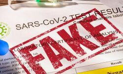 വ്യാജ ആര്ടിപിസിആര് സര്ട്ടിഫിക്കറ്റ്; മാനന്തവാടിയില് ഡിജിറ്റല് സ്റ്റുഡിയോ ഉടമ അറസ്റ്റില് വ്യാജ ആര്ടിപിസിആര് സര്ട്ടിഫിക്കറ്റ്; മാനന്തവാടിയില് ഡിജിറ്റല് സ്റ്റുഡിയോ ഉടമ അറസ്റ്റില്