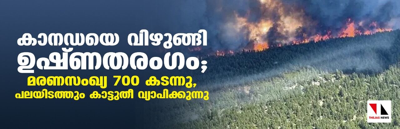 കാനഡയെ വിഴുങ്ങി ഉഷ്ണതരംഗം; മരണസംഖ്യ 700 കടന്നു, പലയിടത്തും കാട്ടുതീ വ്യാപിക്കുന്നു