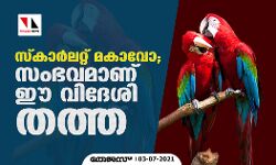 സ്‌കാര്‍ലറ്റ് മകാവോ; സംഭവമാണ് ഈ വിദേശി തത്ത