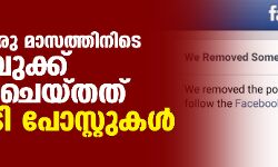 രാജ്യത്ത് ഒരു മാസത്തിനിടെ ഫേസ്ബുക്ക് നീക്കം ചെയ്തത് 3 കോടി പോസ്റ്റുകള്‍