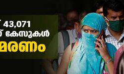 രാജ്യത്ത് 43,071 കൊവിഡ് കേസുകള്‍; 955 മരണം