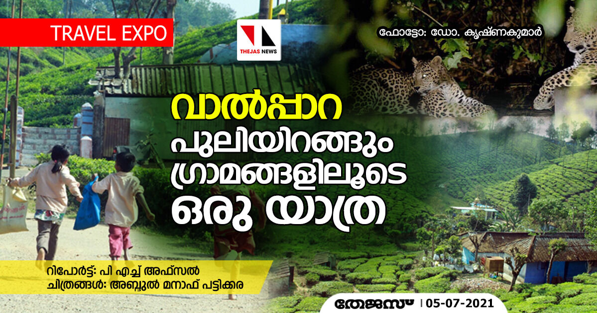 വാല്‍പ്പാറ: പുലിയിറങ്ങും ഗ്രാമങ്ങളിലൂടെ ഒരു യാത്ര