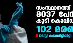 സംസ്ഥാനത്ത് ഇന്ന് 8037 പേര്ക്ക് കൊവിഡ്; ടെസ്റ്റ് പോസിറ്റിവിറ്റി നിരക്ക് 10.03; 102 മരണം സംസ്ഥാനത്ത് ഇന്ന് 8037 പേര്ക്ക് കൊവിഡ്; ടെസ്റ്റ് പോസിറ്റിവിറ്റി നിരക്ക് 10.03; 102 മരണം