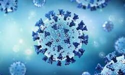 കൊവിഡ് 19: മലപ്പുറം ജില്ലയില്‍ രോഗബാധ സ്ഥിരീകരിച്ചത് 894 പേര്‍ക്ക്; 1,188 പേര്‍ രോഗമുക്തരായി