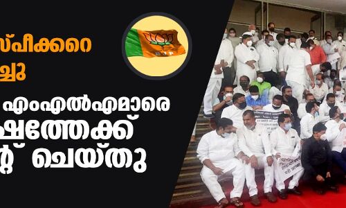 മഹാരാഷ്ട്ര സ്പീക്കറെ അധിക്ഷേപിച്ചു; 12 ബിജെപി എംഎല്‍എമാരെ ഒരു വര്‍ഷത്തേക്ക് സസ്‌പെന്റ് ചെയ്തു