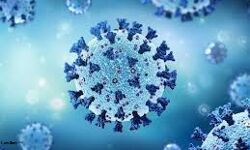 കണ്ണൂര് ജില്ലയില് 947 പേര്ക്ക് കൂടി കൊവിഡ്; 903 പേര്ക്ക് സമ്പര്ക്കത്തിലൂടെ കണ്ണൂര് ജില്ലയില് 947 പേര്ക്ക് കൂടി കൊവിഡ്; 903 പേര്ക്ക് സമ്പര്ക്കത്തിലൂടെ