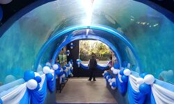 ബംഗളുരു റെയില്‍വേസ്റ്റഷനില്‍ തുരങ്ക അക്വേറിയം സജ്ജമാക്കി