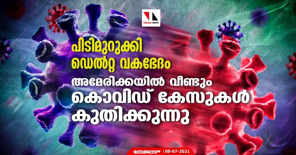 പിടിമുറുക്കി ഡെല്റ്റ വകഭേദം; അമേരിക്കയില് വീണ്ടും കൊവിഡ് കേസുകള് കുതിക്കുന്നു പിടിമുറുക്കി ഡെല്റ്റ വകഭേദം; അമേരിക്കയില് വീണ്ടും കൊവിഡ് കേസുകള് കുതിക്കുന്നു