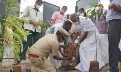 സംസ്ഥാനത്തെ വനവിസ്തൃതി 33 ശതമാനമായി വര്‍ധിപ്പിക്കും: മന്ത്രി എ കെ ശശീന്ദ്രന്‍