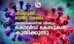 പിടിമുറുക്കി ഡെല്‍റ്റ വകഭേദം; അമേരിക്കയില്‍ വീണ്ടും കൊവിഡ് കേസുകള്‍ കുതിക്കുന്നു