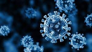 കോഴിക്കോട് ജില്ലയില്‍ ഇന്ന് 1494 പേര്‍ക്ക് കൊവിഡ്: ടെസ്റ്റ് പോസിറ്റിവിറ്റി നിരക്ക് 13.94