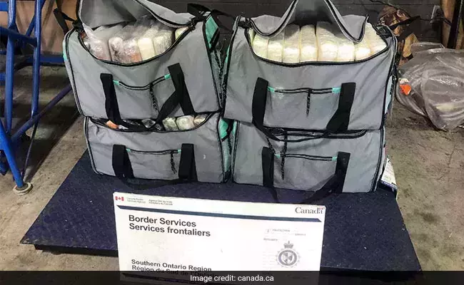 104 കോടി രൂപയുടെ കൊക്കെയ്‌നുമായി ഇന്ത്യന്‍ വംശജന്‍ കാനഡയില്‍ അറസ്റ്റില്‍