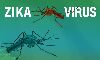 സിക്ക വൈറസ്: 17 പേരുടെ പരിശോധനാ ഫലവും നെഗറ്റീവ്