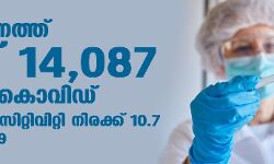 സംസ്ഥാനത്ത് ഇന്ന് 14,087 പേര്ക്ക് കൊവിഡ്; ടെസ്റ്റ് പോസിറ്റിവിറ്റി നിരക്ക് 10.7; മരണം 109 സംസ്ഥാനത്ത് ഇന്ന് 14,087 പേര്ക്ക് കൊവിഡ്; ടെസ്റ്റ് പോസിറ്റിവിറ്റി നിരക്ക് 10.7; മരണം 109