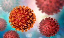 കോഴിക്കോട് ജില്ലയില്‍ ഇന്ന് 1540 പേര്‍ക്ക് കൊവിഡ്; രോഗമുക്തി 1192, ടി.പി.ആര്‍ 13.36%