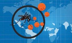 เดเดฐเดพเดณเตโเดเตเดเต เดเตเดเดฟ เดธเดฟเดเตเด เดตเตเดฑเดธเต เดธเตเดฅเดฟเดฐเตเดเดฐเดฟเดเตเดเต; เดธเดเดธเตเดฅเดพเดจเดคเตเดคเต เดฐเตเดเดฟเดเดณเตเดเต เดเดฃเตเดฃเด 15 เดเดฏเดฟ เดเดฐเดพเดณเตโเดเตเดเต เดเตเดเดฟ เดธเดฟเดเตเด เดตเตเดฑเดธเต เดธเตเดฅเดฟเดฐเตเดเดฐเดฟเดเตเดเต; เดธเดเดธเตเดฅเดพเดจเดคเตเดคเต เดฐเตเดเดฟเดเดณเตเดเต เดเดฃเตเดฃเด 15 เดเดฏเดฟ