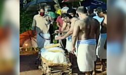 പത്മശ്രീ ഡോ. പി കെ വാര്യര്‍ക്ക് യാത്രാമൊഴി; പൂര്‍ണ ഔദ്യോഗിക ബഹുമതികളോടെ സംസ്‌ക്കാരം