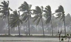 കനത്ത മഴ; മുന്‍കരുതലെടുക്കാന്‍ കലക്ടര്‍മാര്‍ക്ക് നിര്‍ദേശം