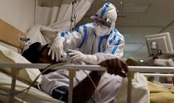 കോഴിക്കോട് ജില്ലയില്‍ ഇന്ന് 780 പേര്‍ക്ക് കൊവിഡ്; രോഗമുക്തി 1378, ടി.പി.ആര്‍ 10.35 %