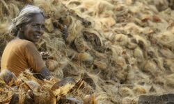 കേരള കയര്‍ തൊഴിലാളി  ക്ഷേമനിധി ബോര്‍ഡിന് 11 കോടി