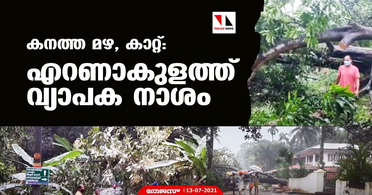കനത്ത മഴ,കാറ്റ്: എറണാകുളത്ത് വ്യാപക നാശം