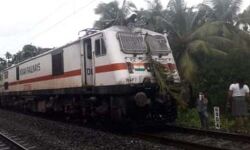 കുര്‍ള എക്‌സ്പ്രസിന് മുകളില്‍ തെങ്ങ് വീണു; ട്രെയിന്‍ ഗതാഗതം തടസ്സപ്പെട്ടു