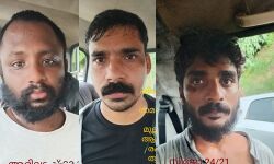 കൊച്ചിയില്‍ വന്‍ കഞ്ചാവ് വേട്ട; 30 കിലോ കഞ്ചാവുമായി മൂന്നു പേര്‍ പോലിസ് പിടിയില്‍