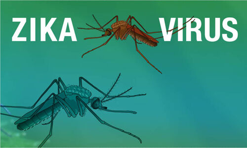 2 പേര്‍ക്ക് കൂടി സിക്ക വൈറസ് രോഗം സ്ഥിരീകരിച്ചു