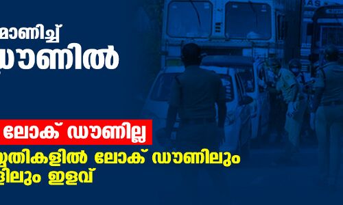 പെരുന്നാള്‍ പ്രമാണിച്ച് ഞായറാഴ്ച ലോക്ഡൗണില്ല;  18, 19, 20 തിയ്യതികളില്‍   ലോക്ഡൗണിലും നിയന്ത്രണങ്ങളിലും ഇളവ്