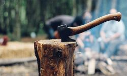 เดฎเดฐเด เดฎเตเดฑเดฟ เดตเดฟเดตเดพเดฆเด: เดเตเดธเตเดเตเดเตเดเดพเดจเตเดณเตเดณ เดตเดจเดเดตเดเตเดชเตเดชเต เดจเดเดชเดเดฟเดฏเตเดฎเดพเดฏเดฟ เดฎเตเดจเตเดจเตเดเตเดเต เดชเตเดเตเดฎเตเดจเตเดจเต เดฎเดจเตเดคเตเดฐเดฟ เด เดเต เดถเดถเตเดจเตเดฆเตเดฐเดจเตโ เดฎเดฐเด เดฎเตเดฑเดฟ เดตเดฟเดตเดพเดฆเด: เดเตเดธเตเดเตเดเตเดเดพเดจเตเดณเตเดณ เดตเดจเดเดตเดเตเดชเตเดชเต เดจเดเดชเดเดฟเดฏเตเดฎเดพเดฏเดฟ เดฎเตเดจเตเดจเตเดเตเดเต เดชเตเดเตเดฎเตเดจเตเดจเต เดฎเดจเตเดคเตเดฐเดฟ เด เดเต เดถเดถเตเดจเตเดฆเตเดฐเดจเตโ