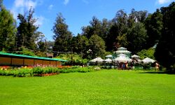 ഊട്ടിയിലേക്ക്  പ്രവേശനം അനുവദിച്ച് തമിഴ്‌നാട് സര്‍ക്കാര്‍