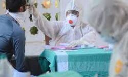 മലപ്പുറം ജില്ലയില് 2,033 പേര്ക്ക് കൊവിഡ്: ടെസ്റ്റ് പോസിറ്റീവിറ്റി നിരക്ക് 16.99 മലപ്പുറം ജില്ലയില് 2,033 പേര്ക്ക് കൊവിഡ്: ടെസ്റ്റ് പോസിറ്റീവിറ്റി നിരക്ക് 16.99