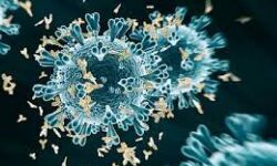 കണ്ണൂര് ജില്ലയില് ഇന്ന് 1084 പേര്ക്ക് കൊവിഡ്; ടെസ്റ്റ് പോസ്റ്റിവിറ്റി നിരക്ക് 10.12 കണ്ണൂര് ജില്ലയില് ഇന്ന് 1084 പേര്ക്ക് കൊവിഡ്; ടെസ്റ്റ് പോസ്റ്റിവിറ്റി നിരക്ക് 10.12