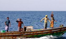 മല്സ്യത്തൊഴിലാളികള്ക്ക് ജി.പി.എസ്, വി.എച്ച്.എഫ് റേഡിയോ; ഇപ്പോള് അപേക്ഷിക്കാം മല്സ്യത്തൊഴിലാളികള്ക്ക് ജി.പി.എസ്, വി.എച്ച്.എഫ് റേഡിയോ; ഇപ്പോള് അപേക്ഷിക്കാം
