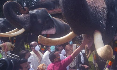 വടക്കുംനാഥ ക്ഷേത്രത്തില്‍ ആനയൂട്ട്