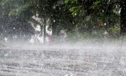 സംസ്ഥാനത്ത് ഇന്നും ശക്തമായ മഴയ്ക്ക് സാധ്യത; രണ്ട് ജില്ലകളില്‍ യെല്ലോ അലര്‍ട്ട്, 22 വരെ മല്‍സ്യബന്ധനത്തിന് വിലക്ക്