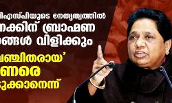 യുപിയില് ബിഎസ്പിയുടെ നേതൃത്വത്തില് നൂറ് കണക്കിന് ബ്രാഹ്മണ സമ്മേളനങ്ങള് വിളിക്കും; നീക്കം വഞ്ചിതരായ ബ്രാഹ്മണരെ കയ്യിലെടുക്കാനെന്ന് യുപിയില് ബിഎസ്പിയുടെ നേതൃത്വത്തില് നൂറ് കണക്കിന് ബ്രാഹ്മണ സമ്മേളനങ്ങള് വിളിക്കും; നീക്കം വഞ്ചിതരായ ബ്രാഹ്മണരെ കയ്യിലെടുക്കാനെന്ന്