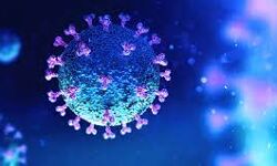 കണ്ണൂര് ജില്ലയില് 653 പേര്ക്ക് കൂടി കൊവിഡ് കണ്ണൂര് ജില്ലയില് 653 പേര്ക്ക് കൂടി കൊവിഡ്