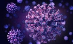 കോഴിക്കോട് ജില്ലയില്‍ ഇന്ന് 1022 പേര്‍ക്ക് കൊവിഡ്; രോഗമുക്തി 1718, ടിപിആര്‍ 11.93 %