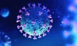 വയനാട്ടില്‍ 247 പേര്‍ക്ക് കൂടി കൊവിഡ്; ടെസ്റ്റ് പോസിറ്റിവിറ്റി റേറ്റ് 7.20