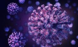 ഇടുക്കി ജില്ലയില്‍ 147 പേര്‍ക്ക് കൂടി കൊവിഡ്;  ടിപിആര്‍ 8.49%